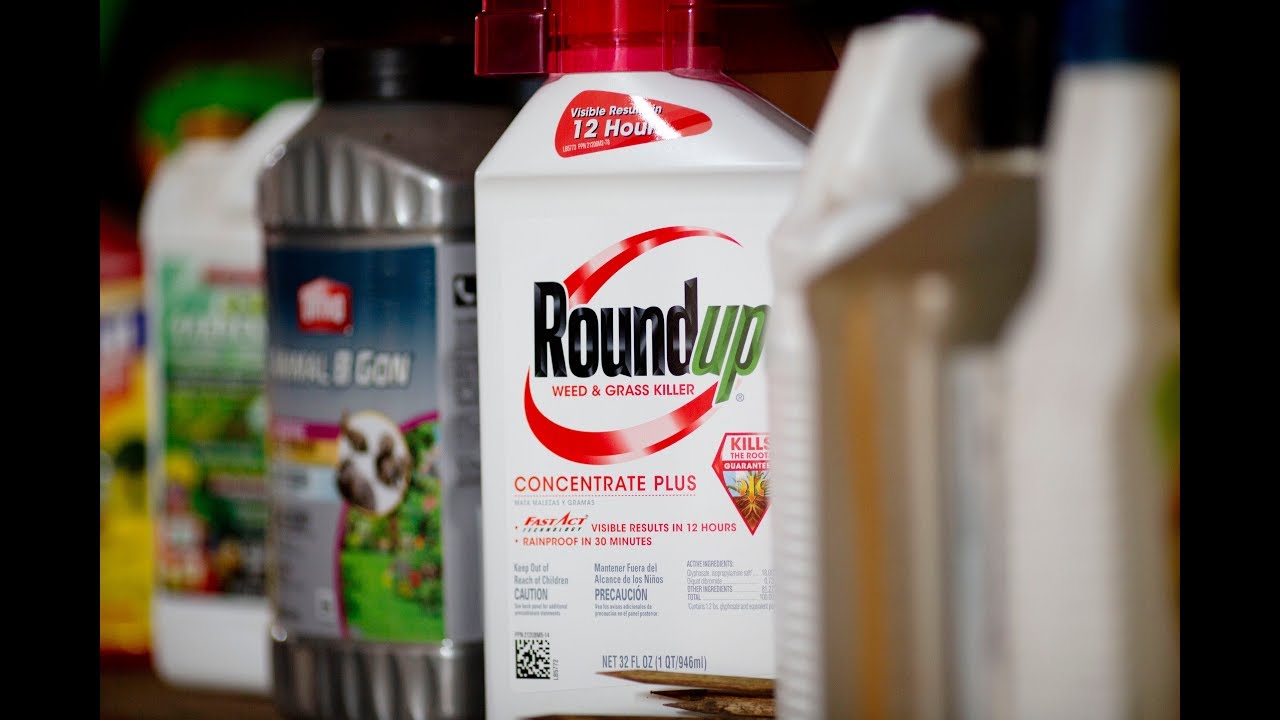 Bayer Ordered To Pay $2 Billion In Roundup Cancer Case - YouTube