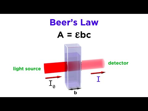 What factors affect absorbance?