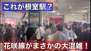 根室駅が異例の大混雑！存続の危機とも言われる花咲線に賑わいが戻りました！