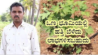 Cotton Farming | Cotton Cultivation Practices | Vijay Karnataka