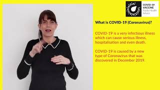 1. What is COVID 19 (coronavirus)