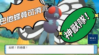 【Pokemon 晶燦鑽石／明亮珍珠】巴他蝶/巴大蝶竟然能消滅全神獸隊?【雙人對戰】附中文字幕解析 #pokemon #pikachu #pokémondiamond #pokemonpearl