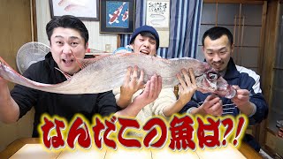 リュウグウノツカイのお友達！ランキングトップに躍りでる味でした！