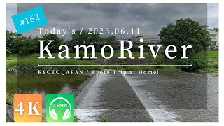 〓 4K ASMR 〓 2023.06.11.  KYOTO KAMO RIVER. 京都 鴨川 賀茂川 葵橋 下賀茂神社  糺の森 御手洗祭 出町柳 家庭裁判所