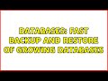 Databases: Fast Backup and Restore of Growing Databases (2 Solutions!!)