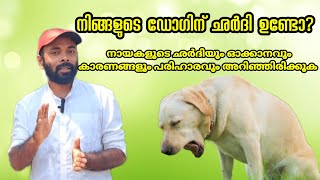 നിങ്ങളുടെ നായക്ക് ഛർദി ഉണ്ടോ? കാരണവും പരിഹാരവും / Vomiting in dogs / Reasons for dog vomiting #dog