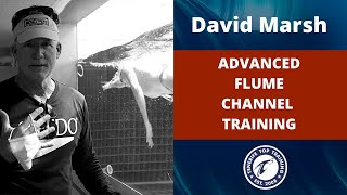 Training with David Marsh on our swim flume