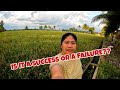 Was The Harvest A Success or A Failure?? | Farmer's Life Is Not Easy!