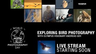 Bird Photography with Andreas Geh