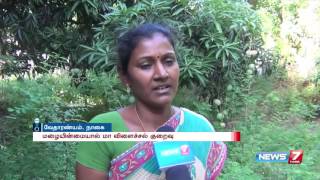 Mango production affects due to lack of rainfall at Vedharanyam | News7 Tamil