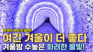 겨울에 꼭 가볼만한곳 서울근교 데이트코스 가족나들이 야간불빛축제 크리스마스