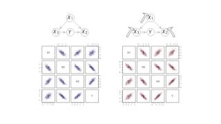 RSS Ordinary Meeting - Causal inference using invariant prediction