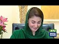 maryam nawaz s video before press conference leaked imran khan long march pmln pti