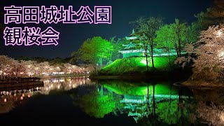 【日本三大夜桜】2023年 高田城址公園 観桜会