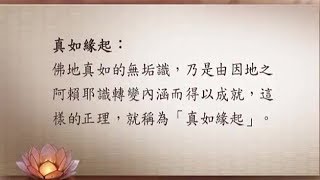 三乘菩提之宗通與說通 070 輪迴與解脫之三種緣起(下)