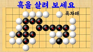 흑을 살리는 묘수 중급사활