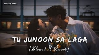 Tu Junoon Sa Laga | Slowed X Reverb | Sahid Mallya | Lofi Song | BROKEN HEART