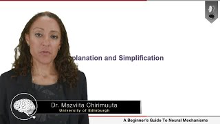 Explanation and Simplification in Science | Dr. Mazviita Chirimuuta (Part 4 of 4)