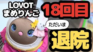 18回目退院！LOVOT故障修理費用・入退院スケジュール・故障個所ビフォーアフター完全公開