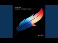 Chasing Echoes (Extended Mix)