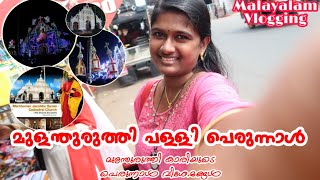 Mulanthuruthy palli perunnal | jubilee perunnal | mulanthuruthy Church | #Vlogging | Saranya Boban |