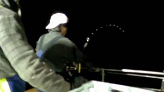 Bluefin Tuna 710Lb Hit! 巨大マグロ322kg①