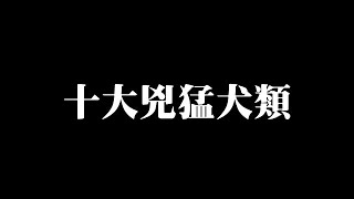 萌犬猛犬!? 不能招惹的世界十大兇猛犬類