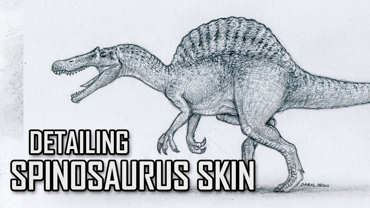 Drawing Spinosaurus Jurassic Park III - Detailing Spinosaurus Skin ...