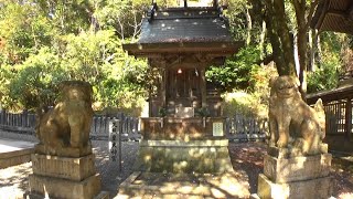 30秒の心象風景20934・境内社の狛犬～リカちゃんの旅・山崎八幡神社～