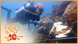 Saving coral reefs via citizen science | Star Golden Hearts Award 2024