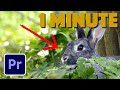 Premiere Pro : How to Add an ANIMATED Arrow