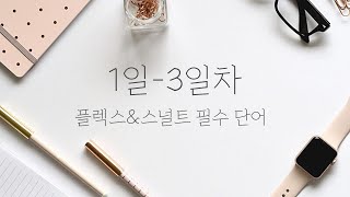 1일차~3일차 : 플렉스 스널트 스페인어 필수 단어