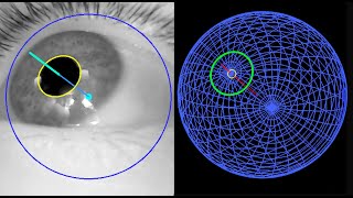 3D Eye Tracking in Python