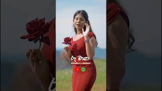 Ruu chaya | roo chaya | ru chaya රූ චායා | D brothers  | chathumi dilhara l #vairal #dbrothers