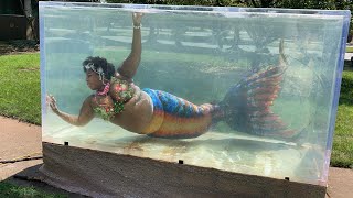 Private Tank Visit With Mermaid Chè Monique