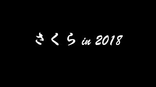 さくら in 2018