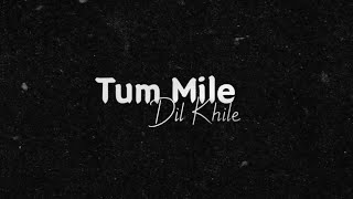 Tum Mile Dil Khile Lyrics Whatsapp Status | Black Screen whatsapp status | #tummiledilkhile