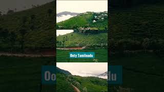 Breathtaking Ooty Nilgiri hills view 2023 | Travel Places #India #ooty #trending #ytshorts #viral