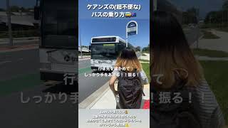 電車？🚃そんなものないよ🙅‍♀️ケアンズの不便なバス🚌の乗り方をご紹介🇦🇺 #オーストラリア #ワーホリ #ケアンズ #vlog #fyp #交通 #shorts #海外生活 #funny