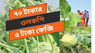 ৬০ টাকা কেজি দরের ওলকপি ৫ টাকা। 60 taka per kg of vegetables at taka 5