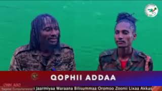 Qophii Addaa ONM-ABO