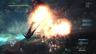 【MHW】历战尸套龙 重弩扩散2“45