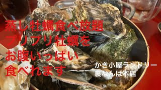 蒸し牡蠣食べづくし！！かき小屋ランドリー裏なんば本店