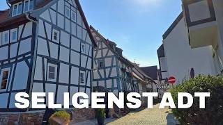 Seligenstadt Sehenswürdigkeiten | Deutschlandticket | Urlaub mit Hund