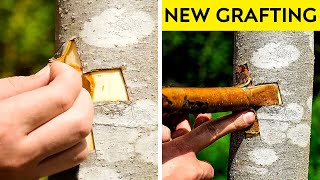 Fantastic Planting And Grafting Hacks To Grow Any Tree Faster 🌳 || Gardening Tips 🌱