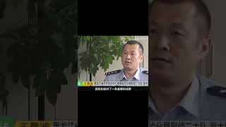 妻子的謊言，刑偵檔案解說