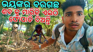 ଭୟଙ୍କର ବରଗଛ ଶବ କୁ ଏଇଠି ଫୋପାଡି ଦିଅନ୍ତି||Odia Hunted place @pksworld594