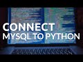 How To connect mySQL to python in windows