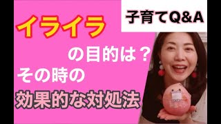 【子育てQ\u0026A】イライラの対処法