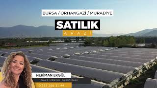 SATILIK ARAZİ Bursa Orhangazi’de yatırım fırsatı!